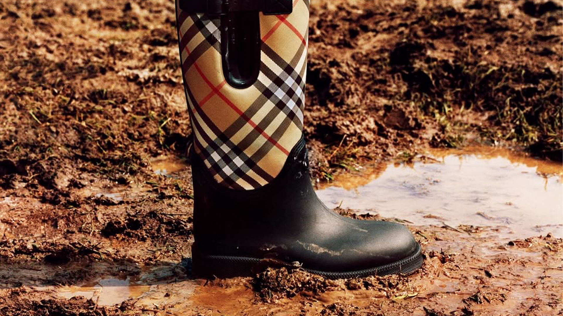 ברברי מראה התאוששת למרות שממשיכה להציג הפסדים