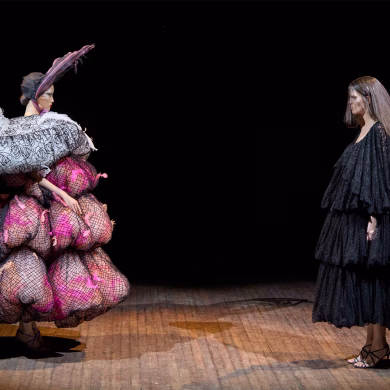 ANGRY BIRDS - ויקטור ורולף חוקרים את מהות הנוצות בקוטור