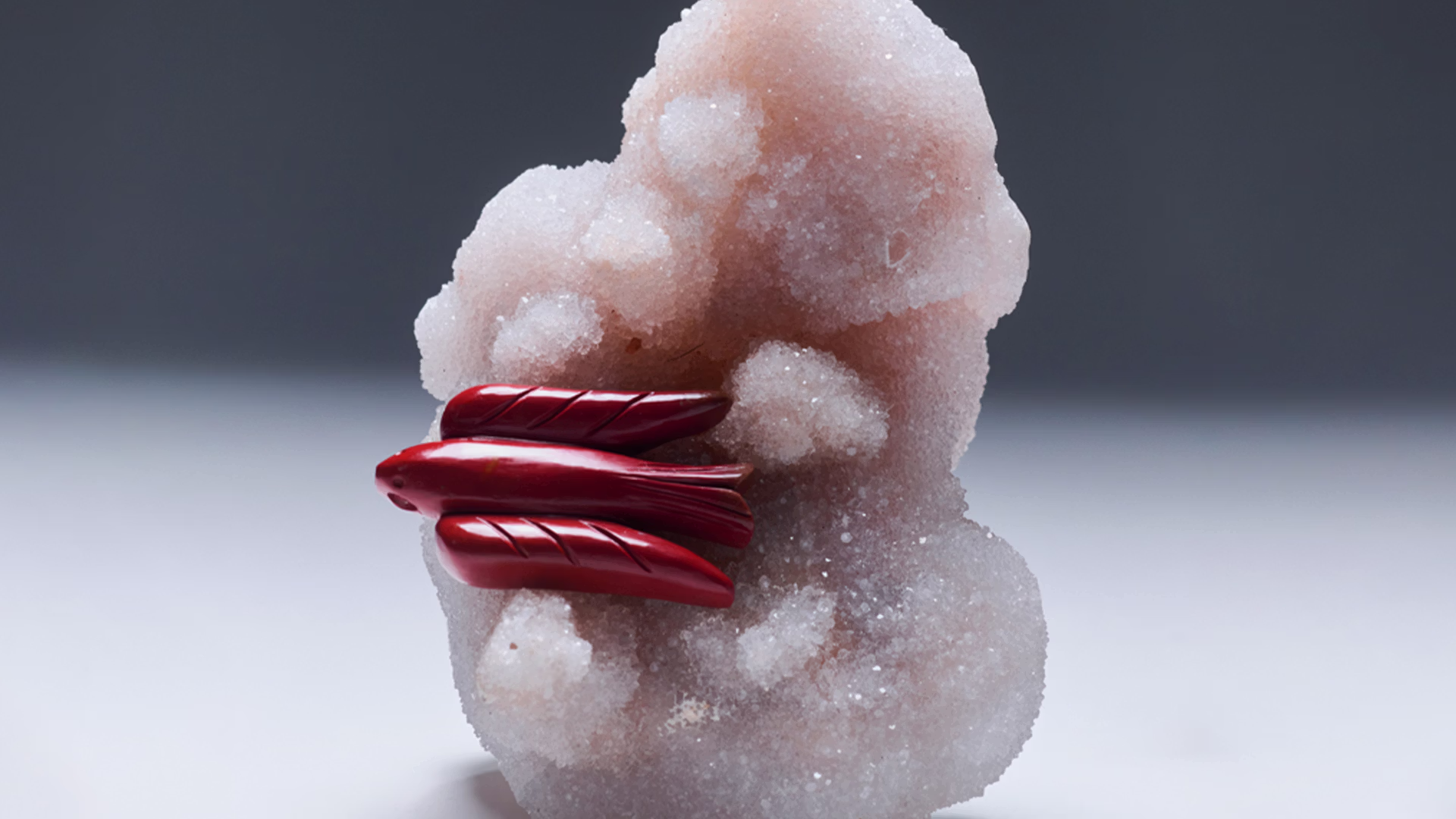 לתת לקהילה בוולנטיין - ASHIA משיקה קולקציה במהדורה מוגבלת בשיתוף "תינוקות של החיים"